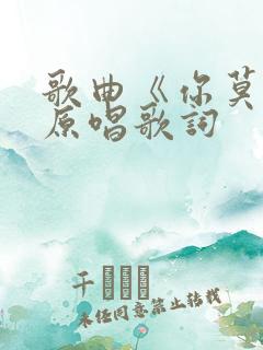 歌曲《你莫走》原唱歌词