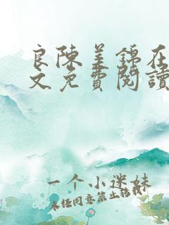 良陈美锦在线全文免费阅读
