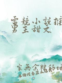 电竞小说推荐双男主甜文