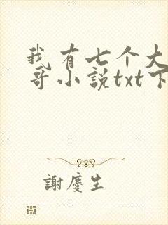 我有七个大佬哥哥小说txt下载