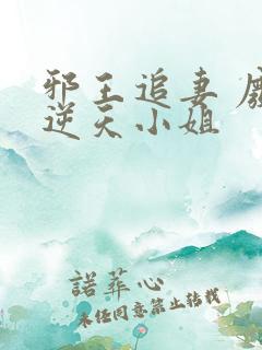 邪王追妻 废材逆天小姐