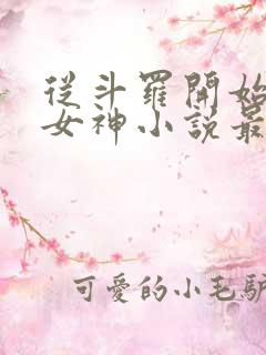 从斗罗开始俘获女神小说最新章节在线