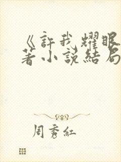 《许我耀眼》原著小说结局