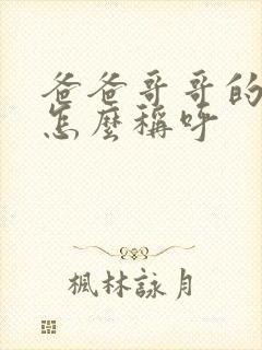 爸爸哥哥的女儿怎么称呼