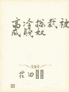 高冷总裁被调教成贱奴