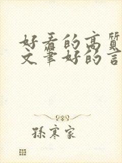 好看的高质量的文笔好的言情