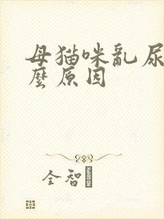 母猫咪乱尿是什么原因