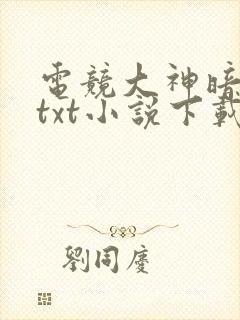 电竞大神暗恋我txt小说下载