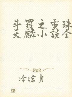 斗罗之灵珠神剑天麟小说全文免费阅读下载