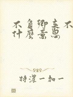 不负卿来不负我什么意思