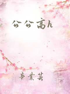 公公高h