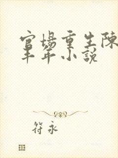 官场重生陈泽唐丰年小说