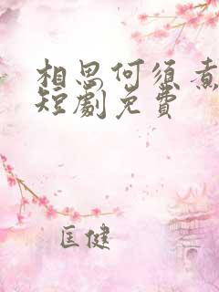 相思何须煮余年短剧免费