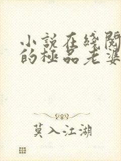 小说在线阅读我的极品老婆