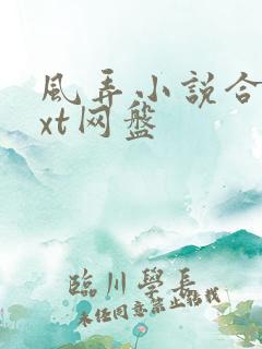 风弄小说合集txt网盘