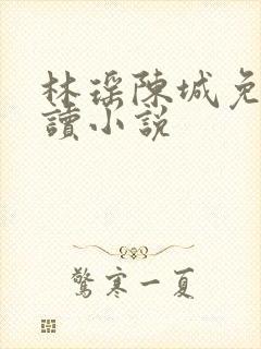 林瑶陈城免费阅读小说