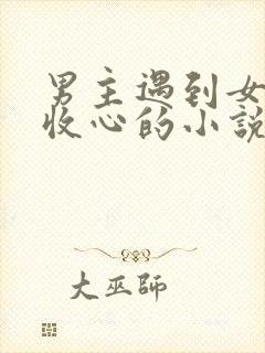 男主遇到女主后收心的小说