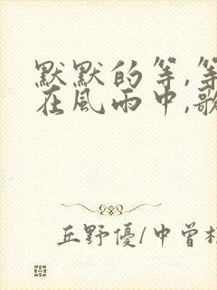 默默的等,等你在风雨中,歌名