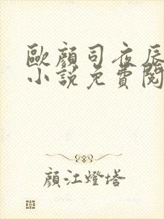 欧颜司夜辰完整小说免费阅读