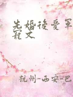 先婚后爱军婚甜宠文