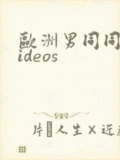 欧洲男同同性videos