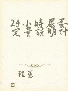 24小时尿蛋白定量说明什么问题