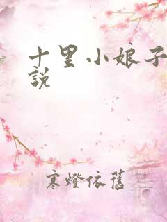 十里小娘子的小说