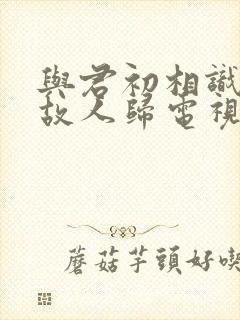 与君初相识恰似故人归电视剧全集