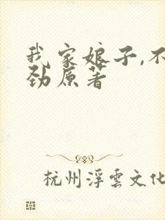 我家娘子,不对劲原著