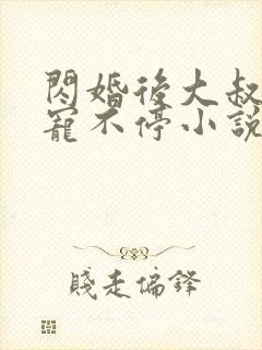 闪婚后大叔每天宠不停小说免费阅读无弹窗