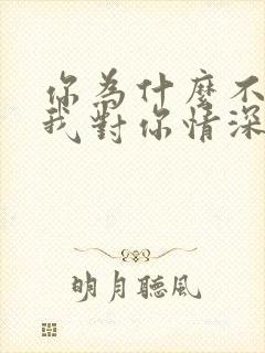 你为什么不明白我对你情深似海是什么歌