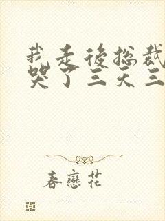 我走后总裁老婆哭了三天三夜的小说免费阅读