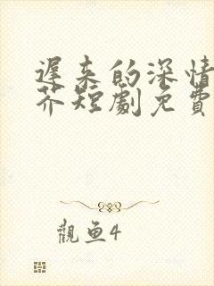 迟来的深情如草芥短剧免费观看