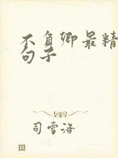 不负卿最精辟的句子