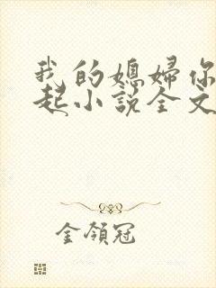 我的媳妇你惹不起小说全文阅读