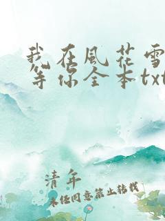 我在风花雪月里等你全本txt