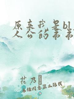 原来我是bl主人公的弟弟原著小说