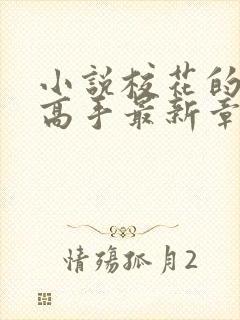 小说校花的贴身高手最新章节阅读