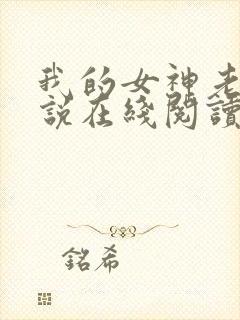 我的女神老婆小说在线阅读