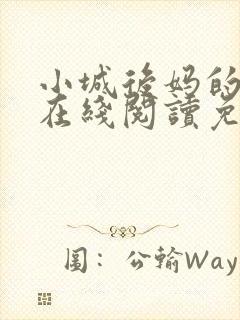 小城后妈的小说在线阅读免费