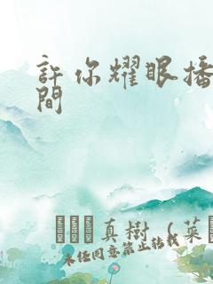 许你耀眼播出时间