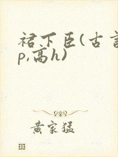 裙下臣(古言np,高h)