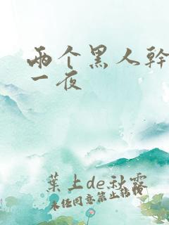 两个黑人干了我一夜