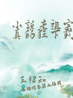 小说老祖宗她是真的狂下载