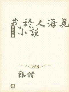我于人海见过你筄小说