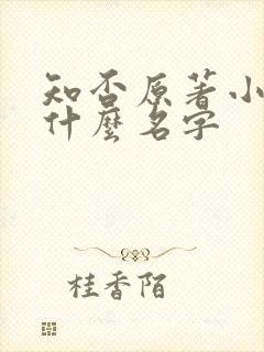 知否原著小说叫什么名字