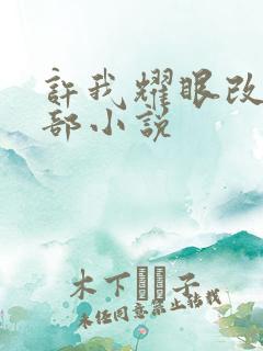 许我耀眼改编哪部小说