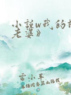 小说w我的极品老婆》