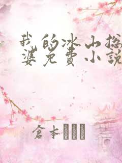 我的冰山总裁老婆免费小说