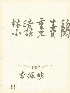 林皓重生的官场小说免费阅读